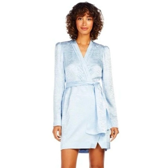 BNWT Saloni Silk Dress in Mountain Stamp Pattern Size 8